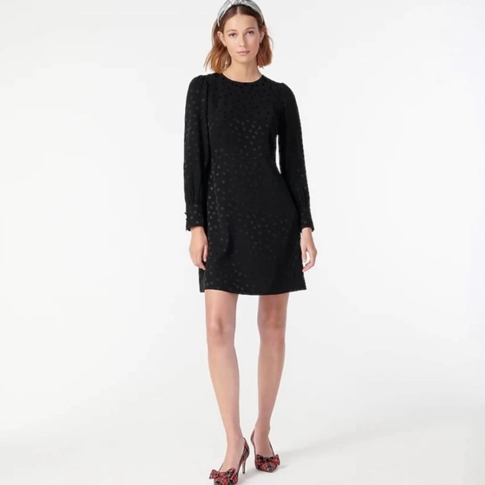 J. Crew Dress
